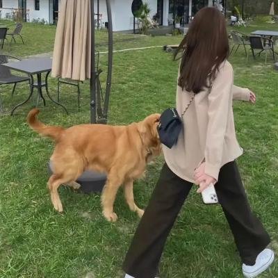 少女杀手阿墨